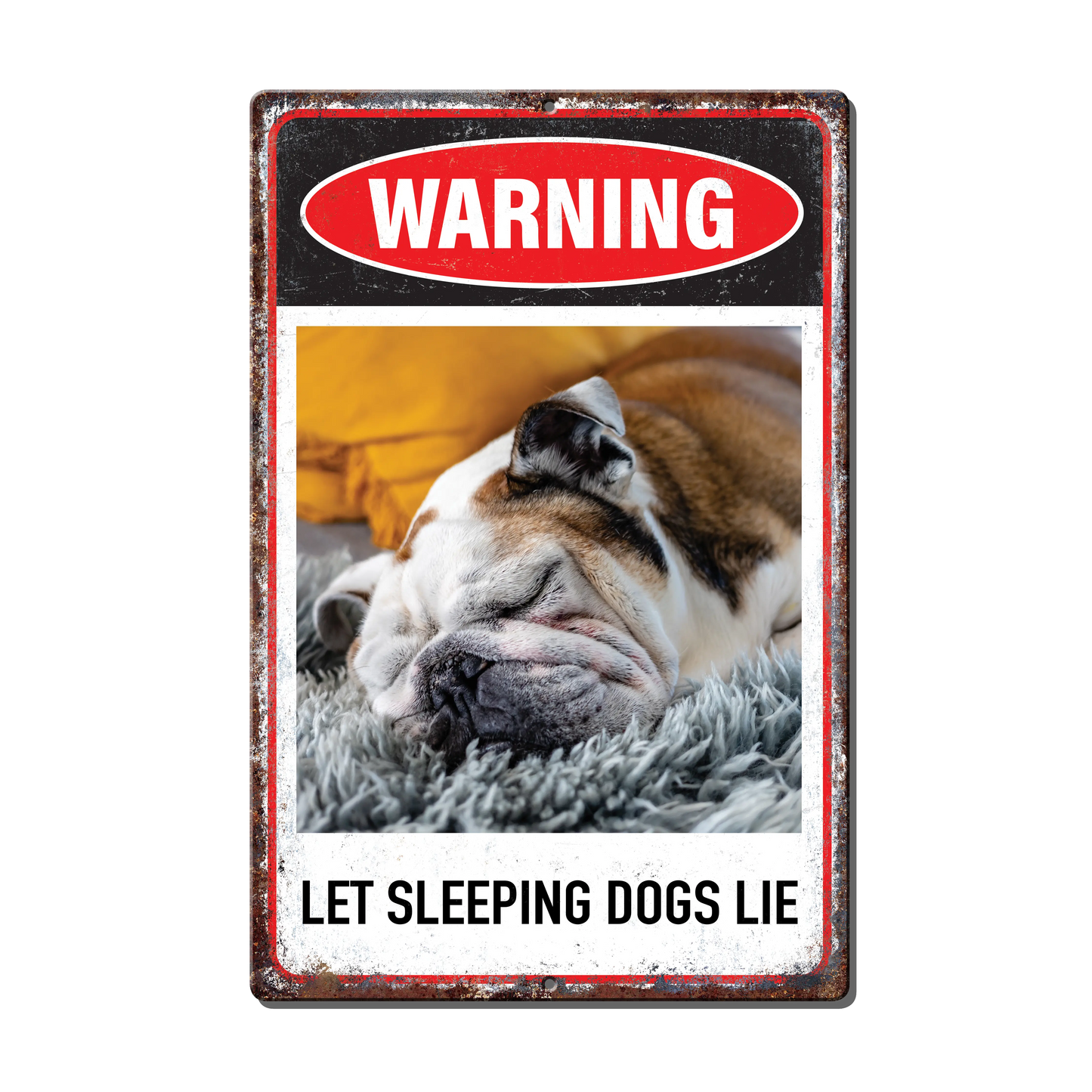 Warning Custom Photo Metal Sign