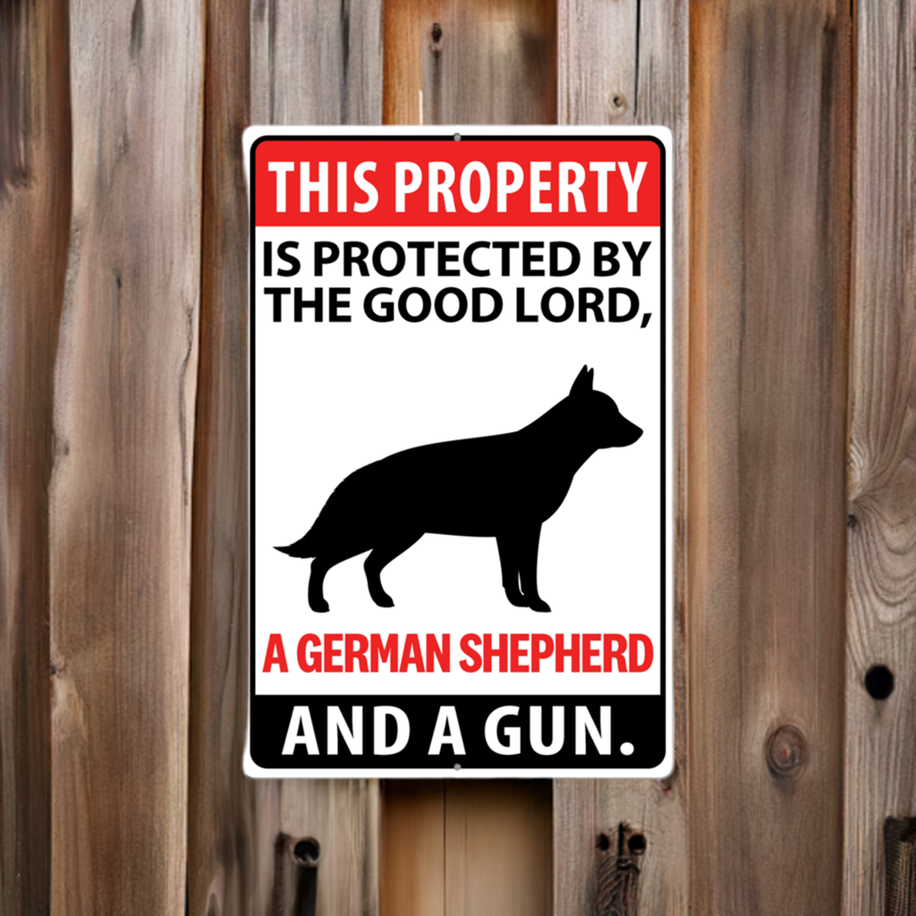 This Property Danger Custom Metal Sign